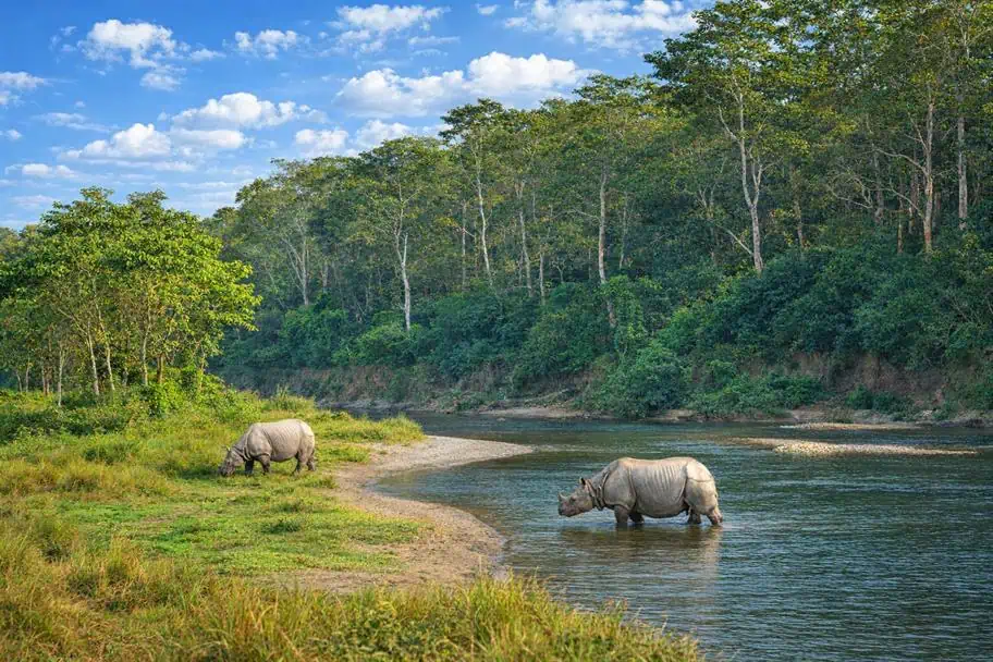 Royal Chitwan National Park, Nepal must‑see world national parks - Royal Chitwan National Park