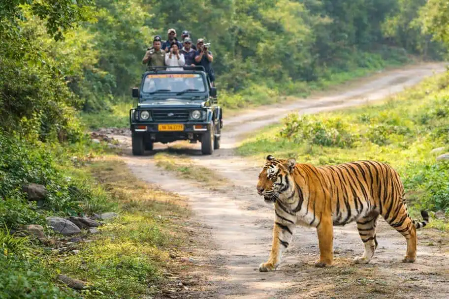 Jim Corbett National Park, India Jim Corbett National Park, India