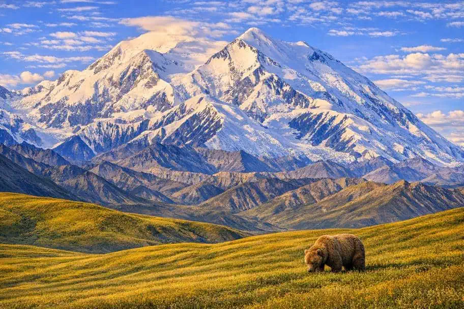 Top National Parks in the World - Denali National Park, United States
