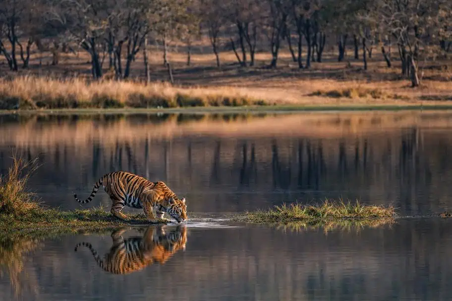 National Parks in the World - Ranthambore National Park, India