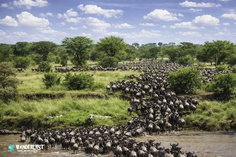 National Parks in the World - Serengeti National Park, Tanzania