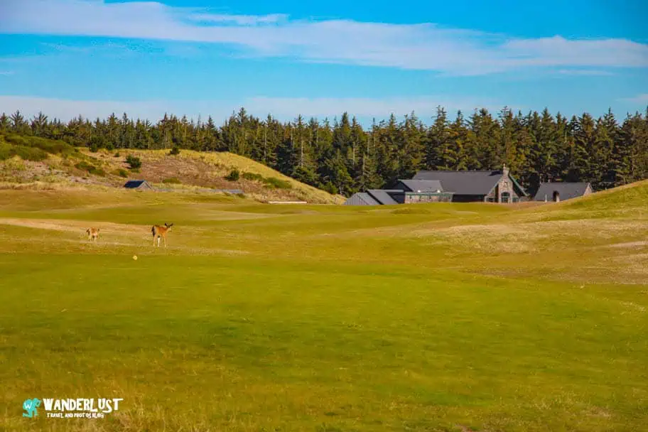 Bandon Dunes Golf Resort Bandon Dunes Course Review