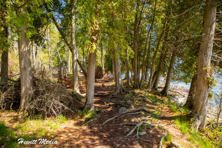 Door County Wisconsin Travel Hiking Trails