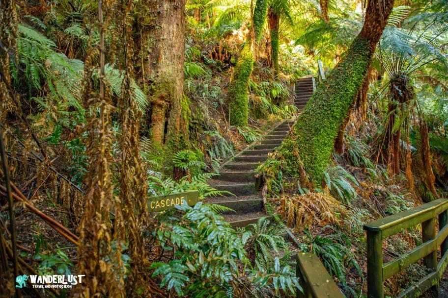 Things to See When Visiting Australia - Great Otway National Park