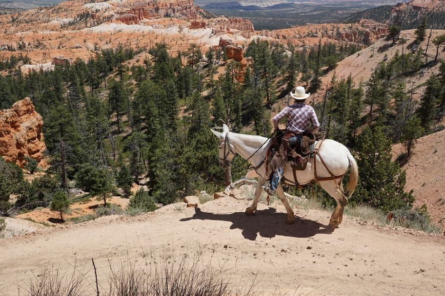 Bryce Canyon Horseback