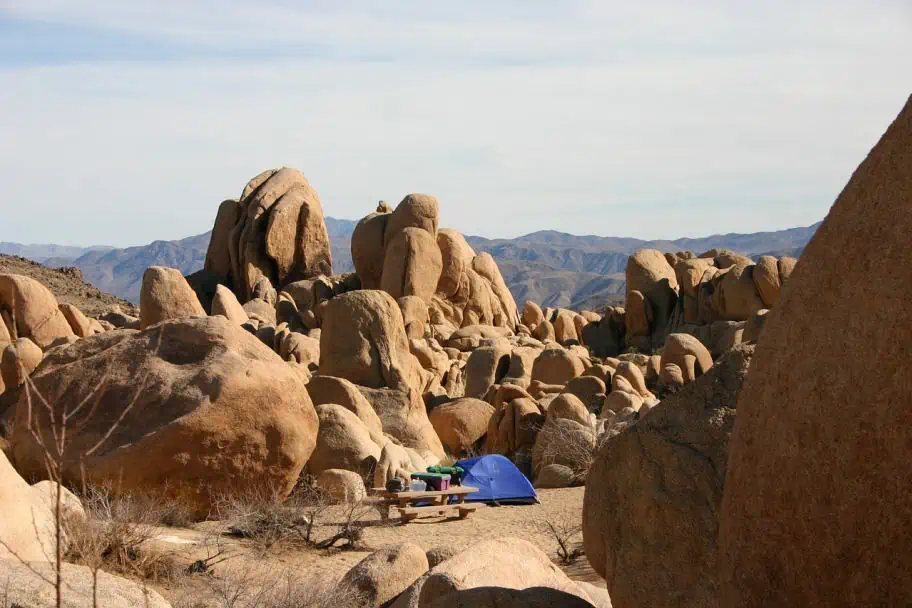 Camping in Joshua Tree National Park