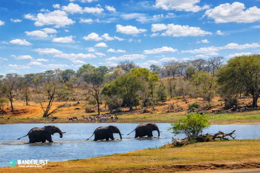 Solo Camp Kruger National Park