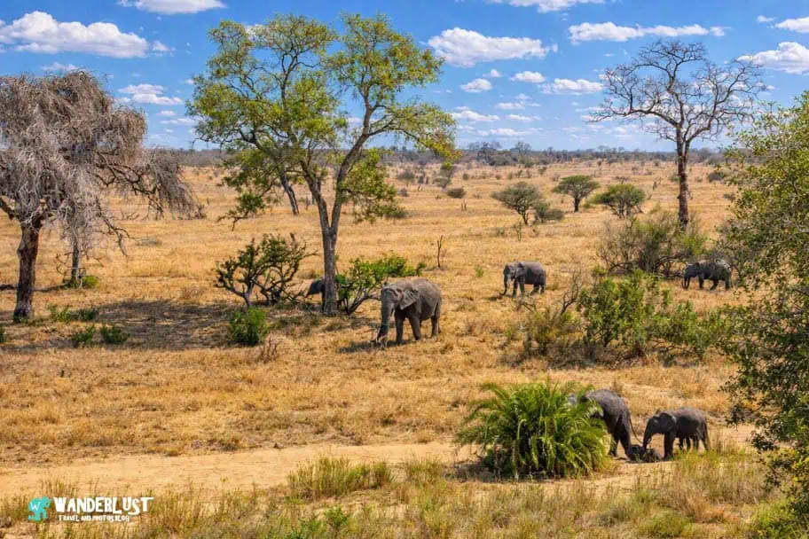 Solo Camp Kruger National Park