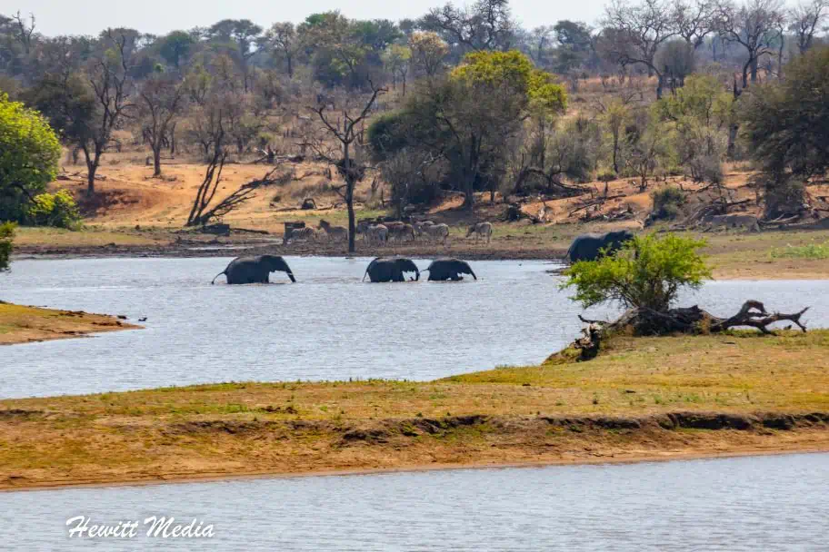 Solo Camp Kruger National Park
