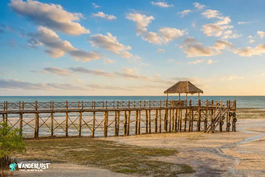 Zanzibar Visitor's Guide
