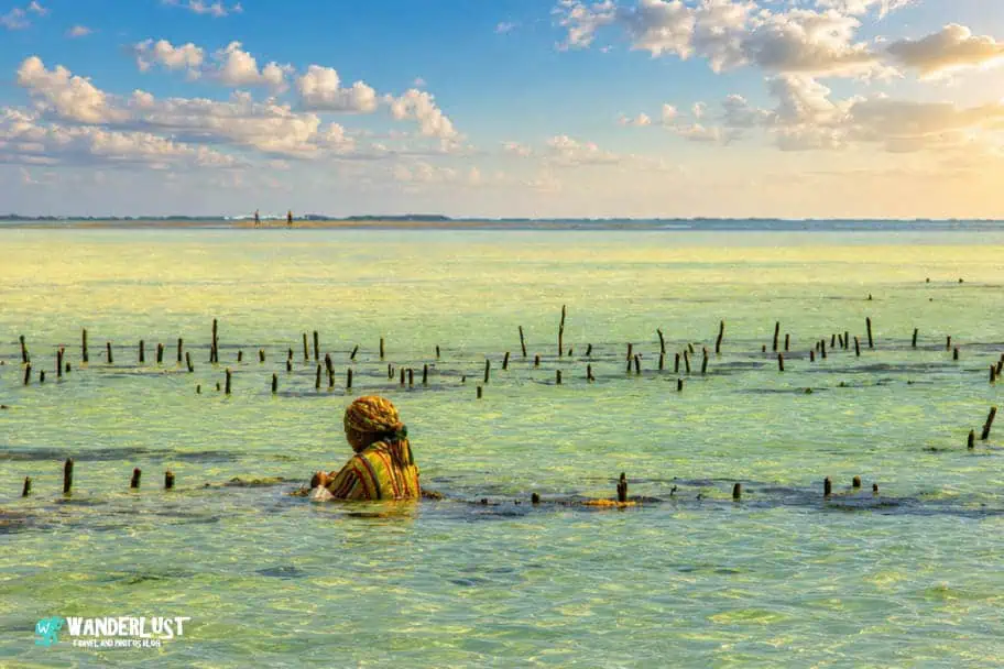 Zanzibar Visitor's Guide