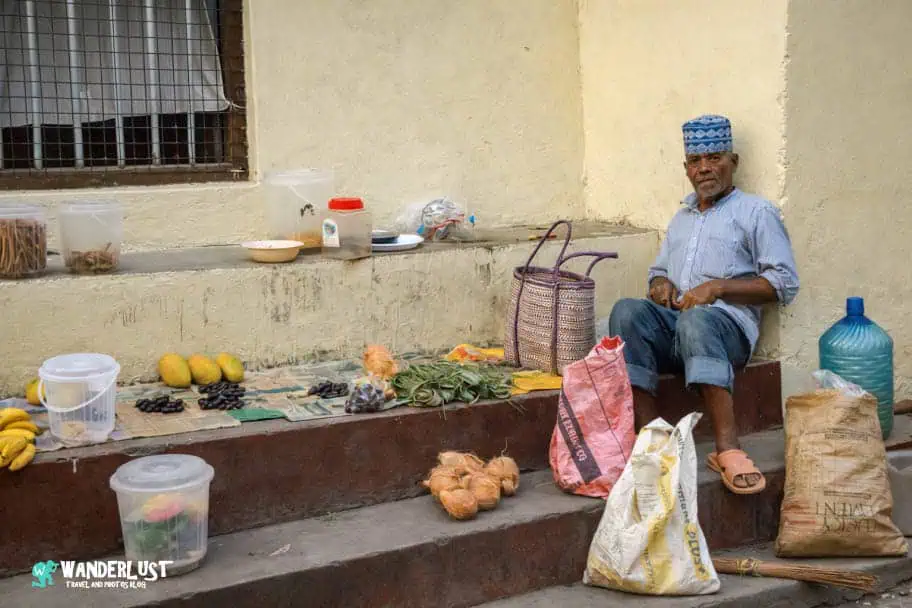 Zanzibar Visitor's Guide