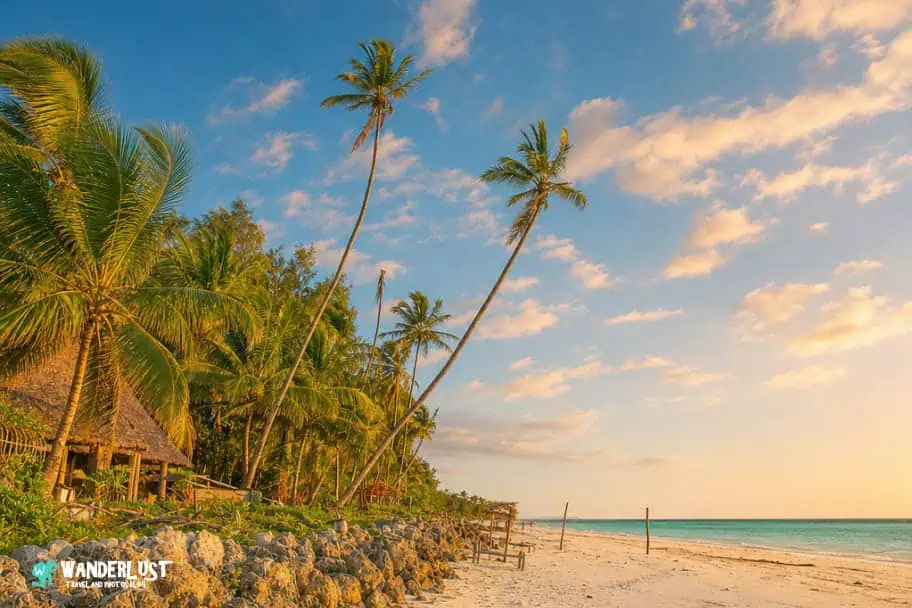 The Ultimate Zanzibar Visitor’s Guide