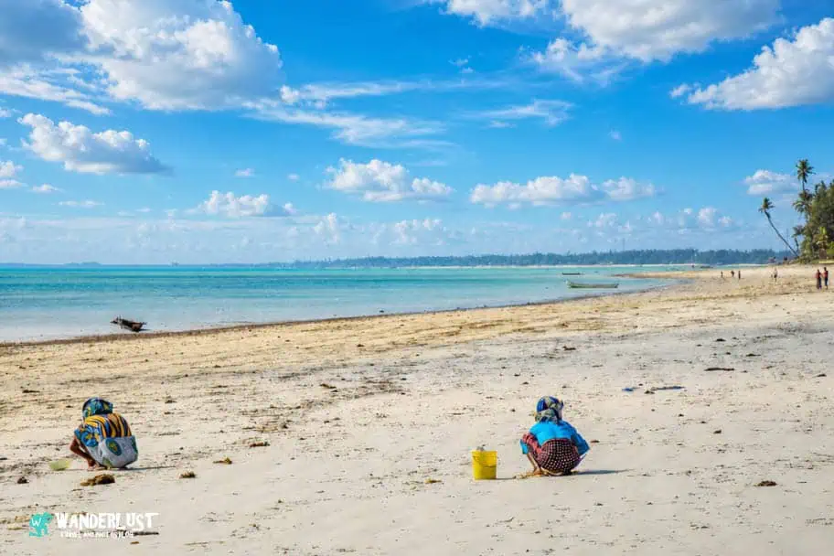 Zanzibar Visitor's Guide