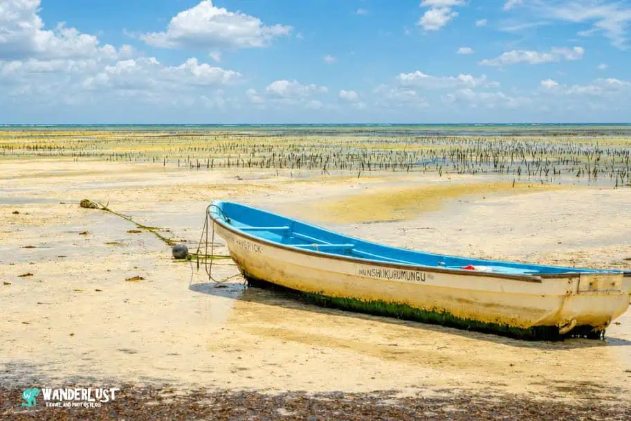 Zanzibar Visitor's Guide