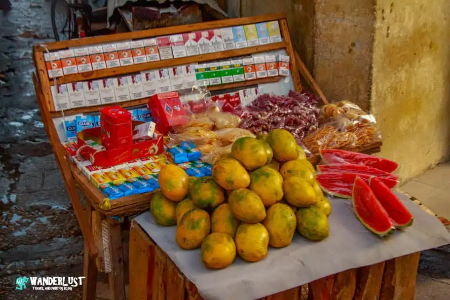 Zanzibar Visitor's Guide