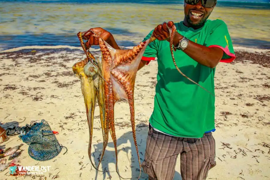 Zanzibar Visitor's Guide