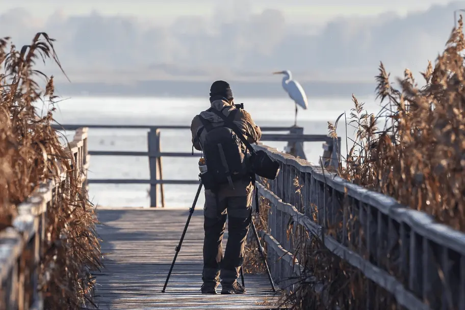 Outdoor Photography Respect the Wildlife