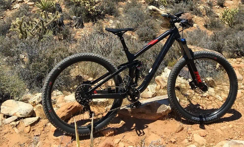 Great Basin National Park Activities