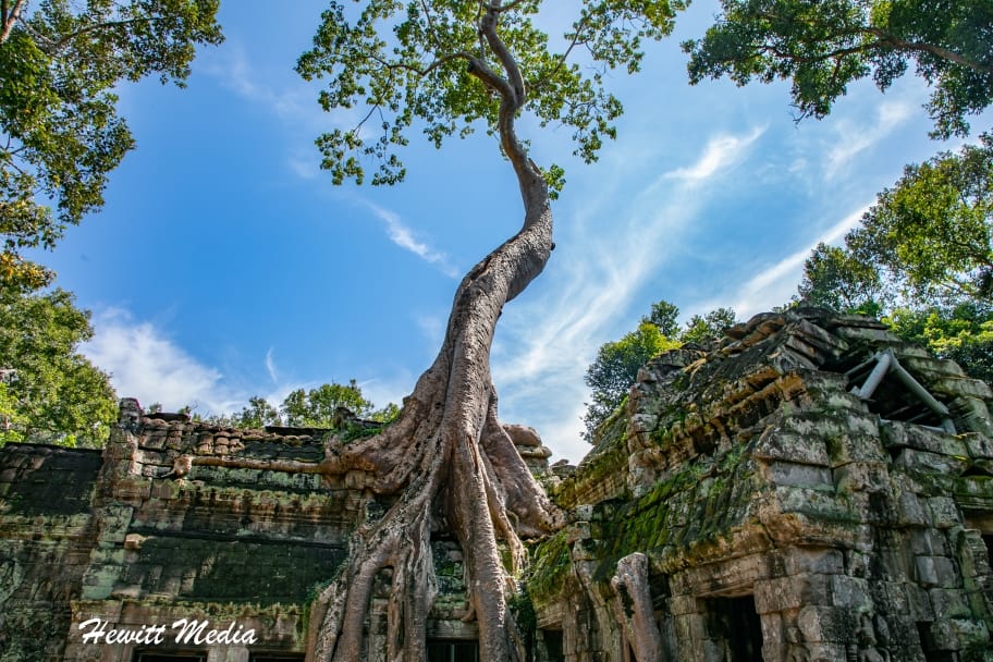 Top Travel Photos of 2023 - Ta Prohm Temple