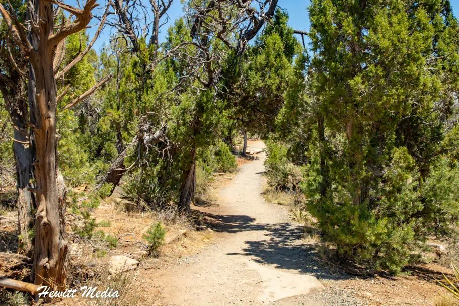 Mesa Verde National Park