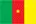 Cameroon Flag
