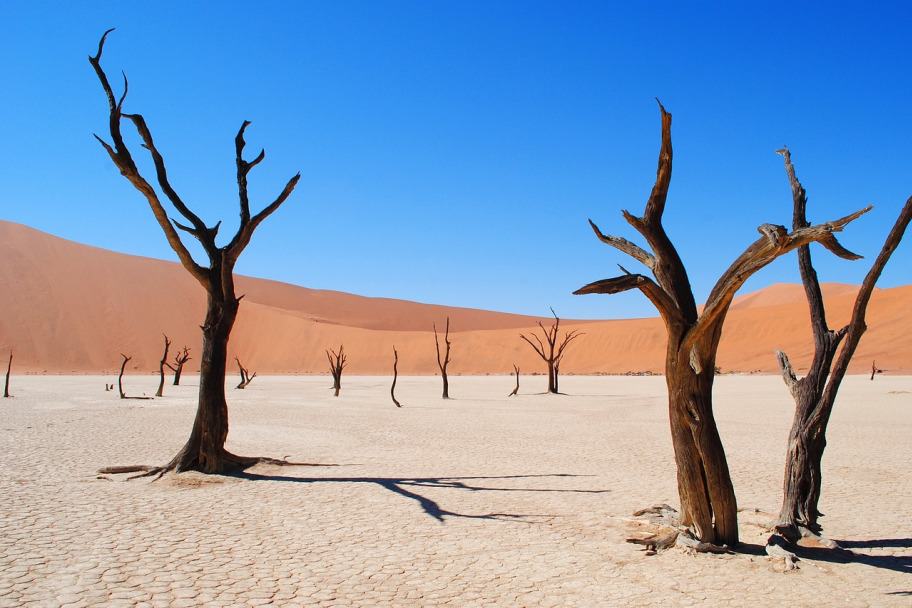 Best Travel Destinations for 2024 - Deadvlei, Namibia
