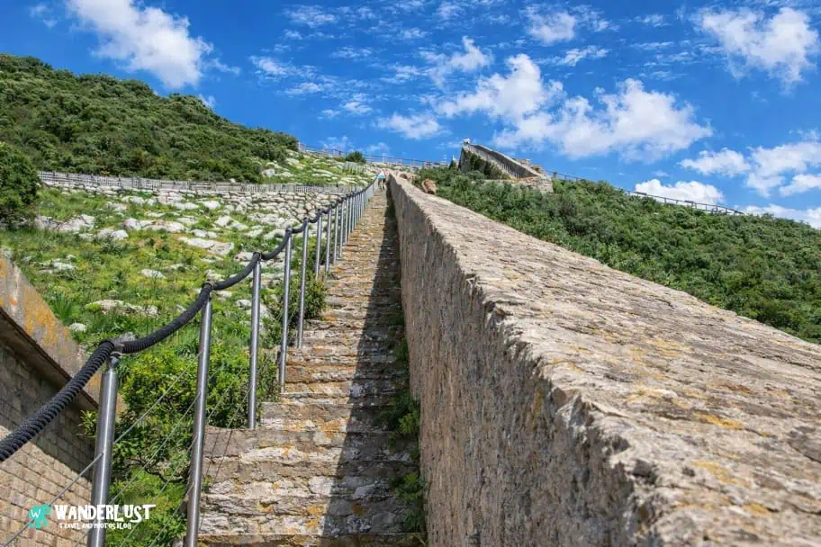 The Mediterranean Steps The Mediterranean Steps