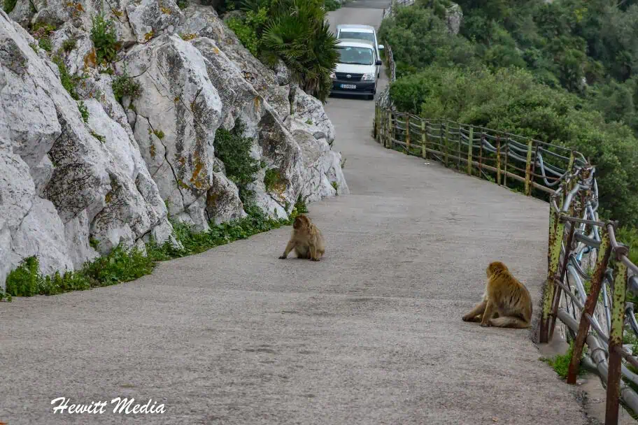 Gibraltar travel guide