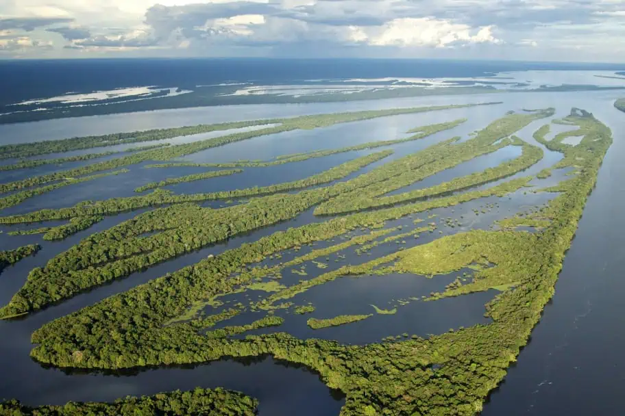 Brazil, Argentina, and Uruguay Trip - Amazon Rainforest