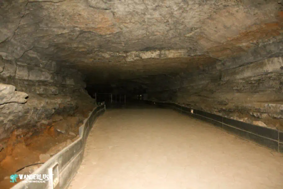 Eastern National Parks Road Trip - Mammoth Cave National Park