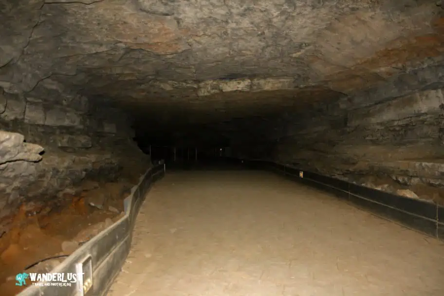 Mammoth Cave National Park
