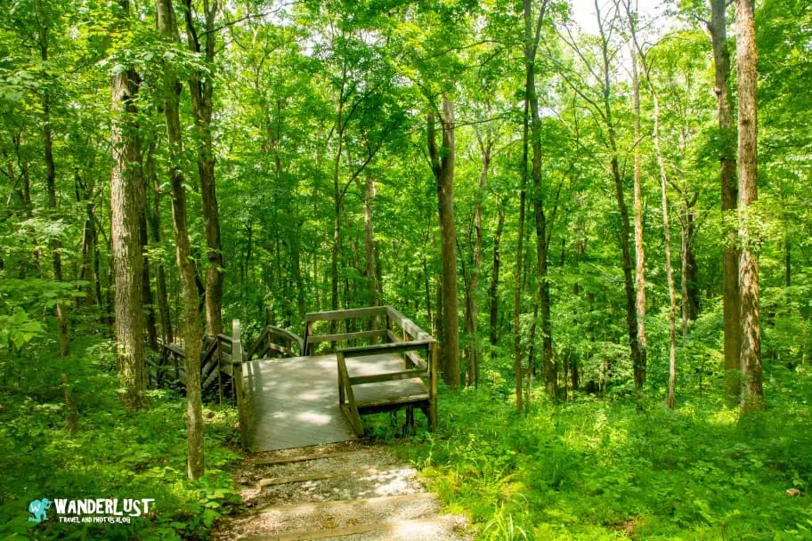 Mammoth Cave National Park