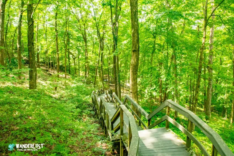Mammoth Cave National Park