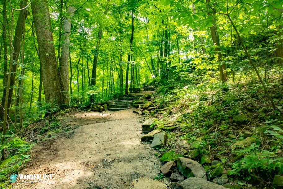 Mammoth Cave National Park