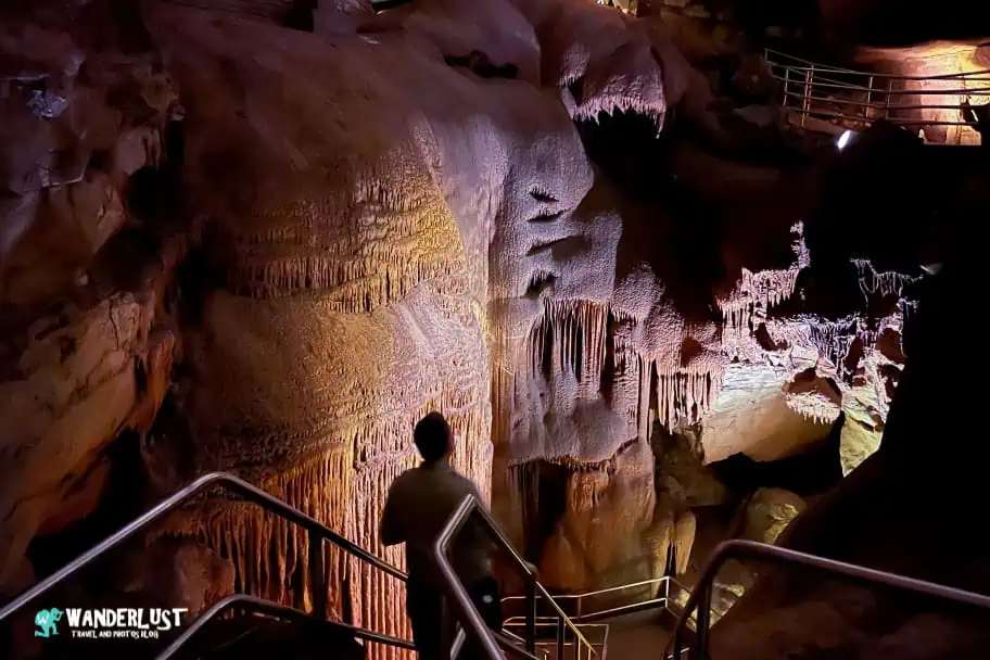 Mammoth Cave National Park