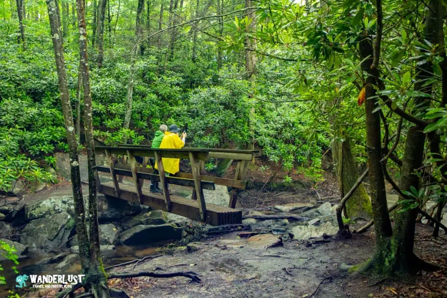 New River Gorge National Park Guide