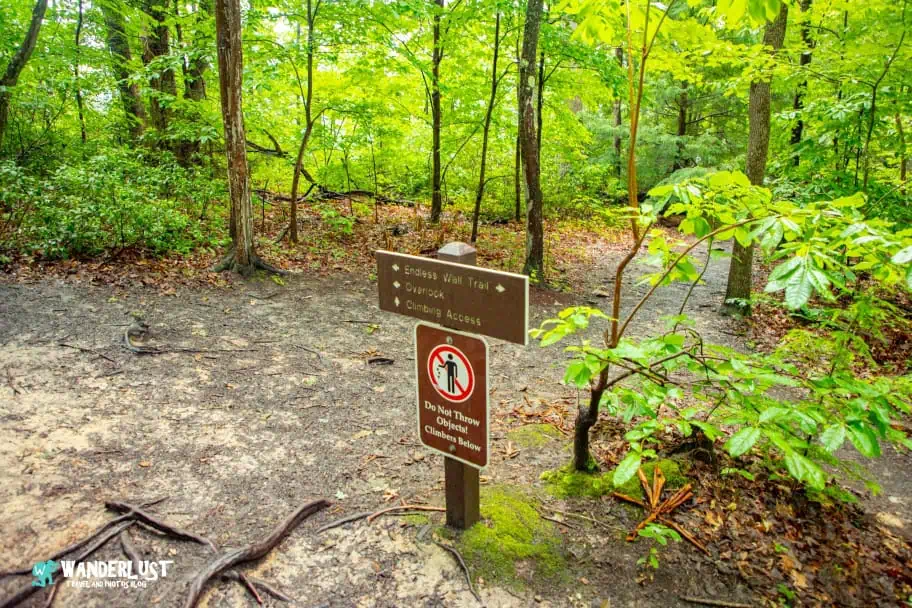 New River Gorge National Park Guide