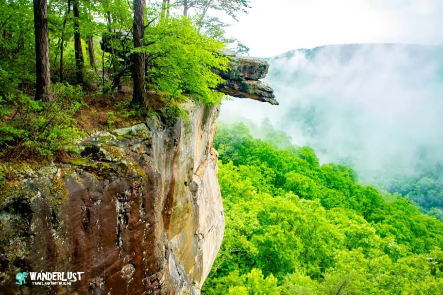 New River Gorge National Park Guide