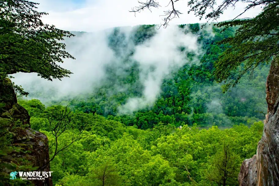 New River Gorge National Park Guide