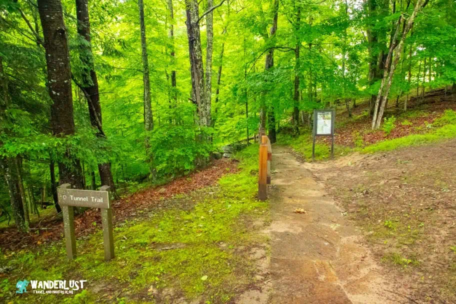 New River Gorge National Park Guide