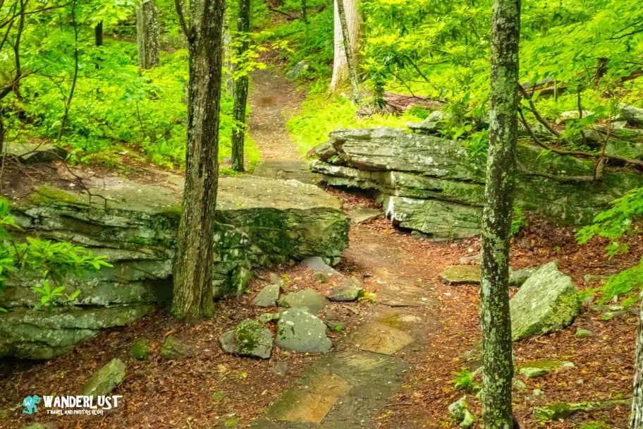 New River Gorge National Park Guide