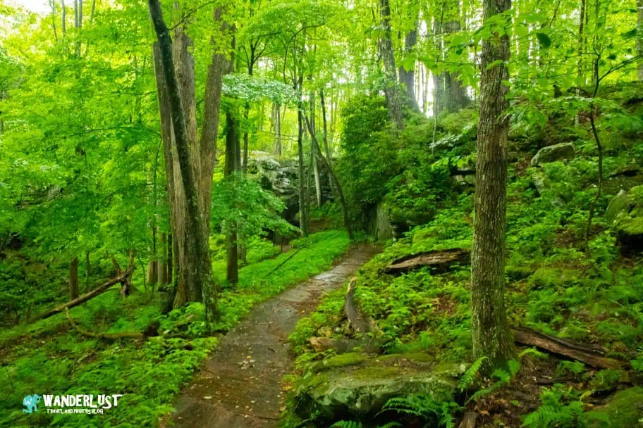 New River Gorge National Park Guide