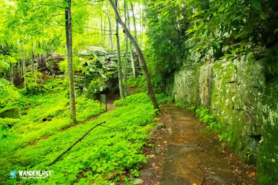 New River Gorge National Park Guide