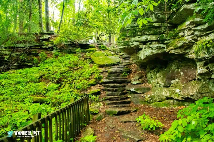 New River Gorge National Park Guide