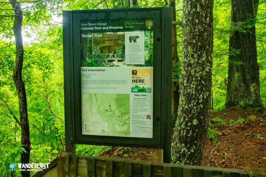 New River Gorge National Park Guide