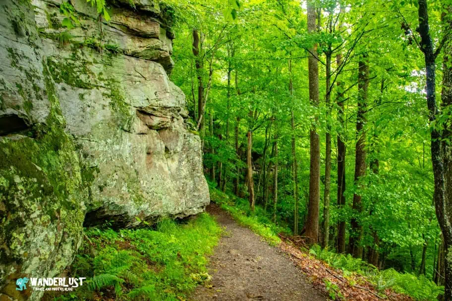 New River Gorge National Park Guide