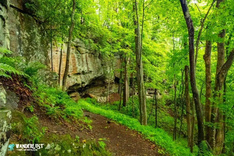 New River Gorge National Park Guide