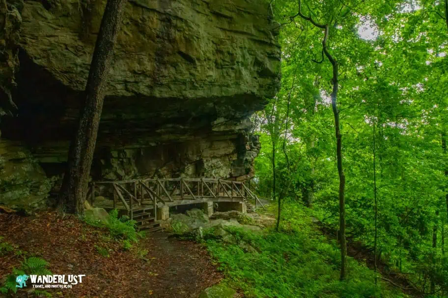 New River Gorge National Park Guide