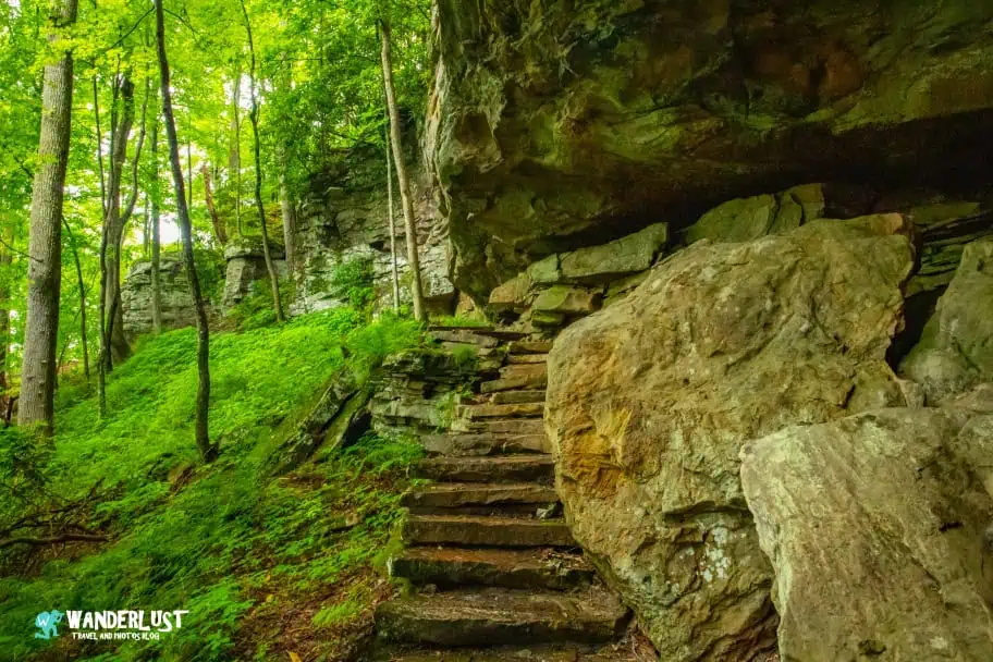 New River Gorge National Park Guide